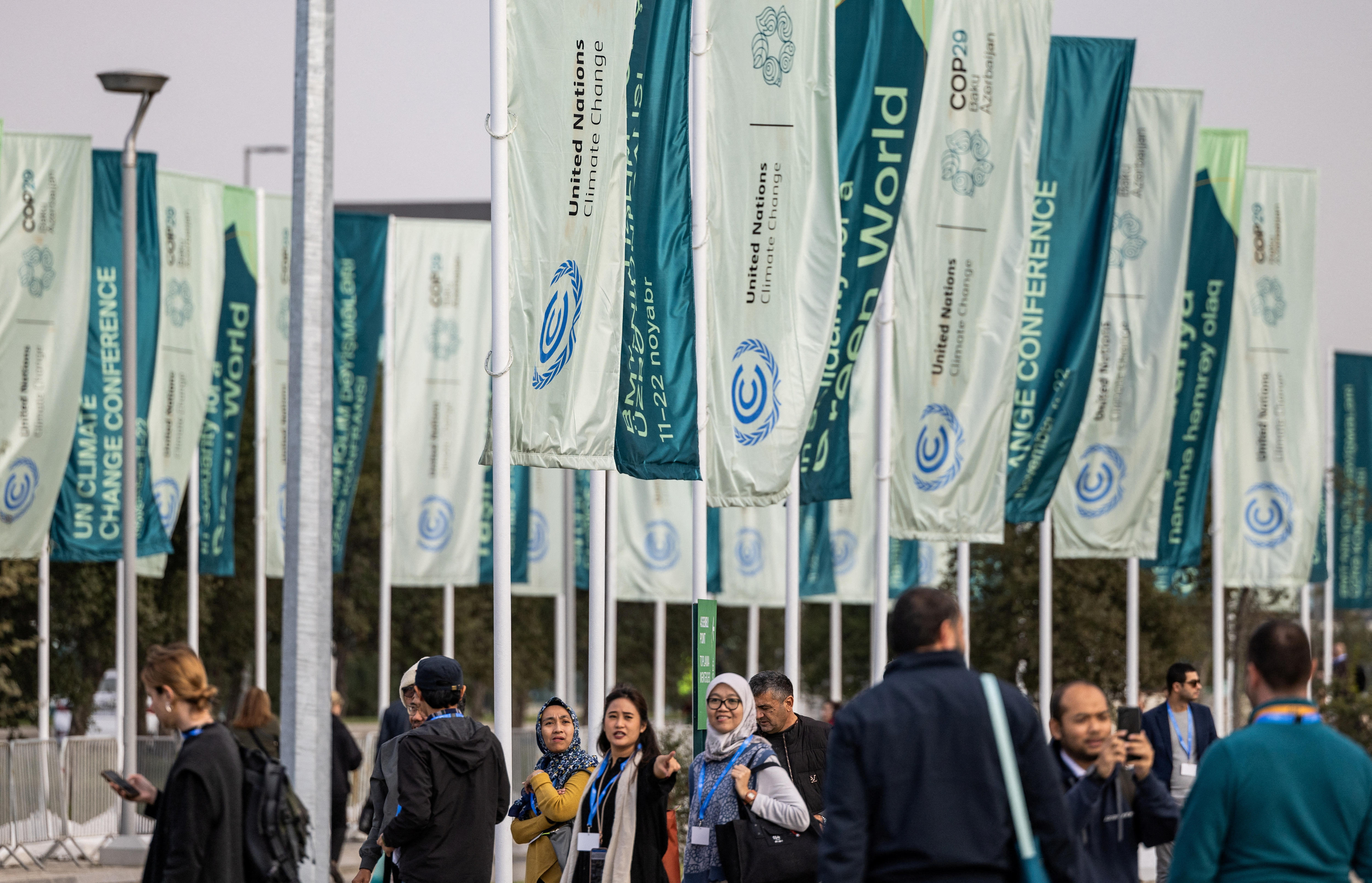 A crowd of people gather under a lot of flags at a climate conference.