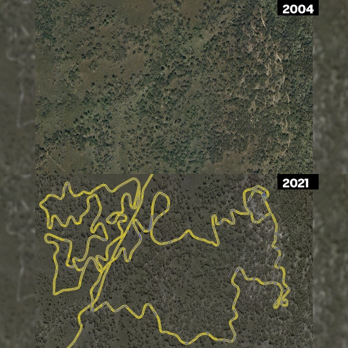 Aerial images of Otways in 2004 and 2021 to how dirt bike trails now cut through bushland