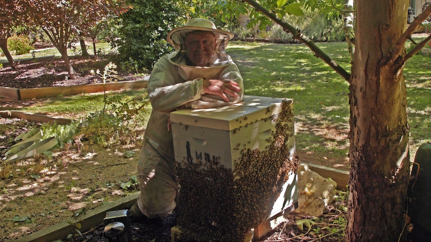 A man, who is dressed in beekeeping attire, is leaning on a box covered in bees. 