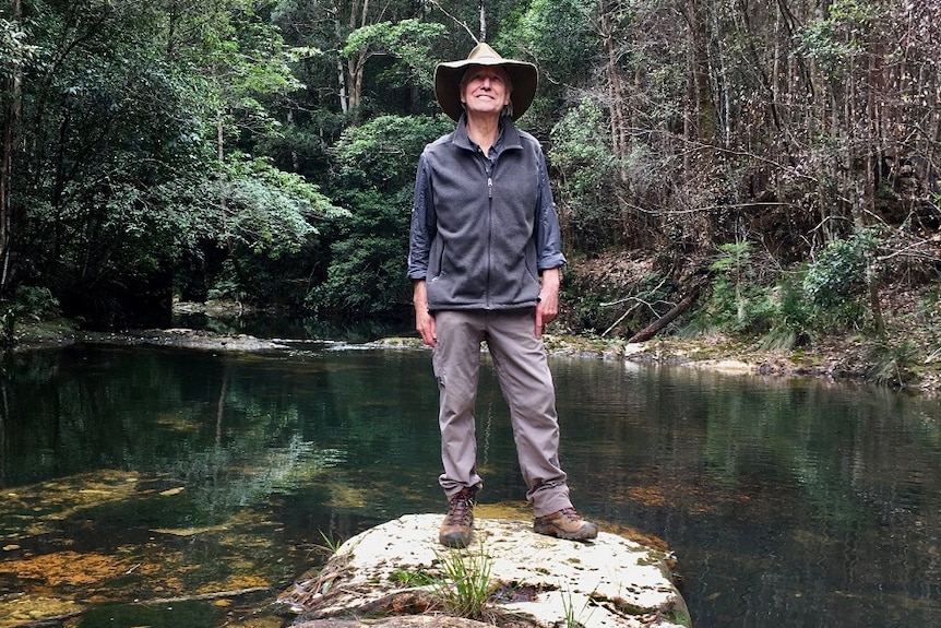 A man in bush clothing stands on a rock  near a river, deep in the forest