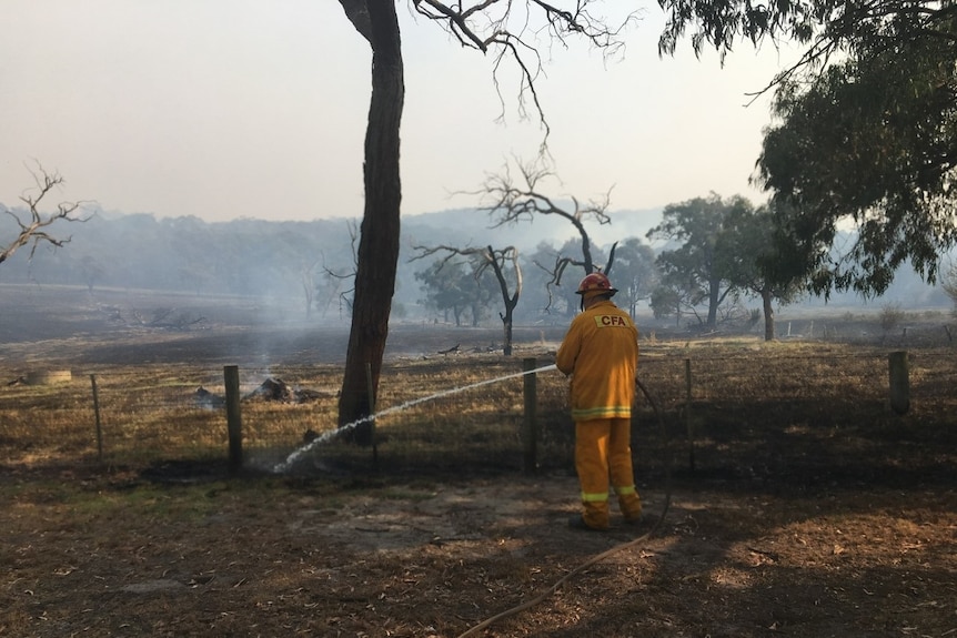 Firefighter hosing burn ground