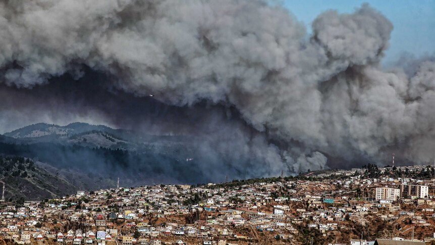 Smoke billows from the forest around Valparaiso