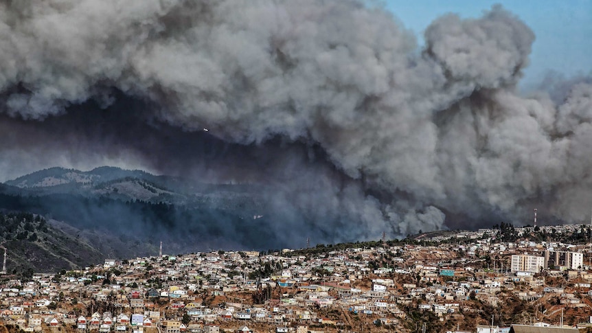 Smoke billows from the forest around Valparaiso