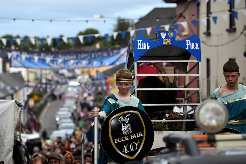 A wild goat is paraded through the Irish town of Killorglin.