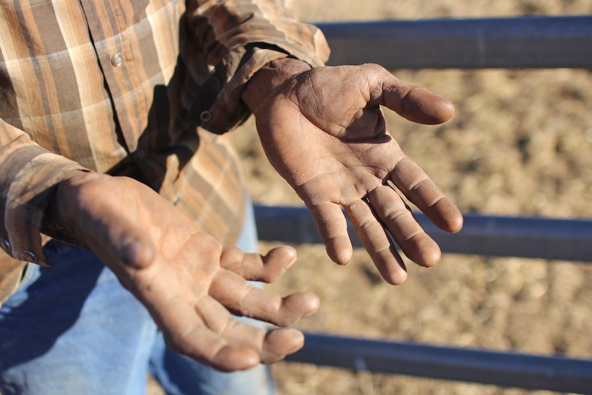 a man's hands