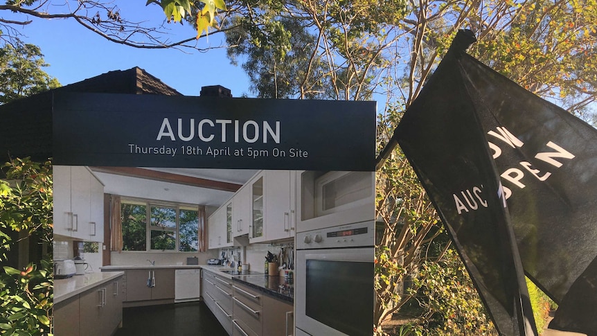 A For Sale sign with an black flag reading 'auction' flying in the wind, in front of some trees.