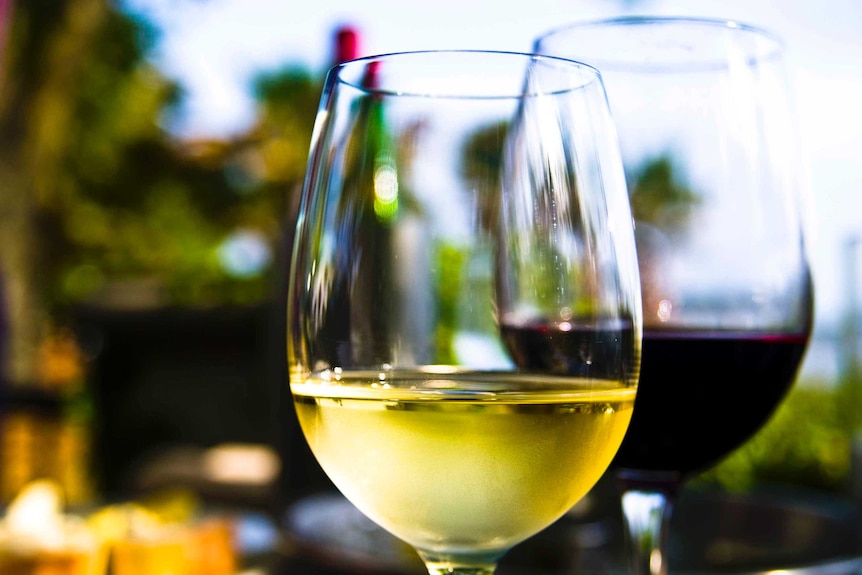 Two wine glasses sit on a table with white wine in the front glass and red wine in the back one.