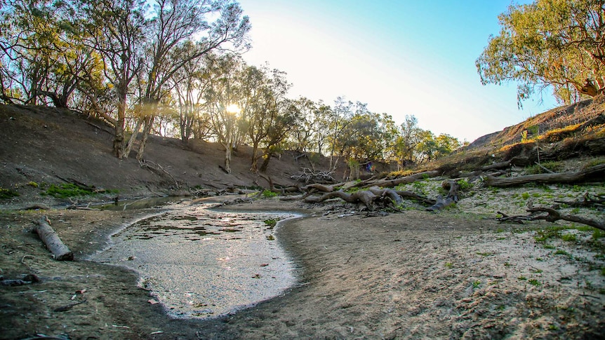 The Barwon River at Walgett is just a series of stagnant pools at the moment.