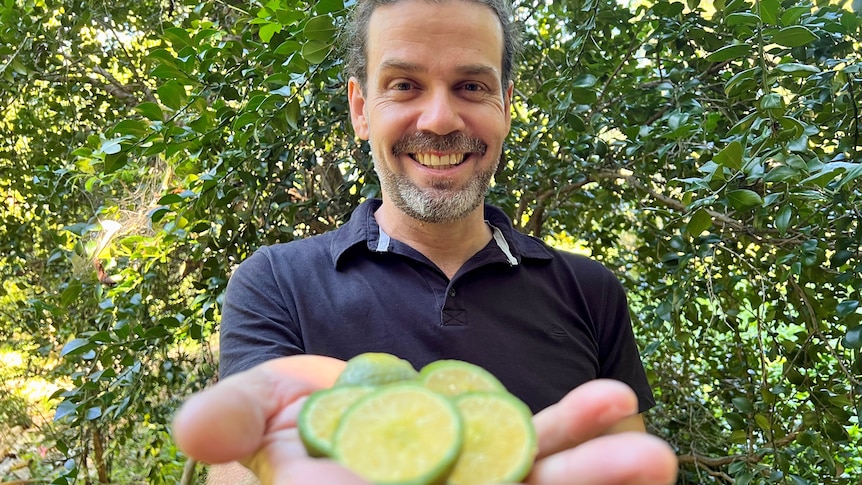 Man stands in an orchard holding sliced limes in his palm towards the camera.