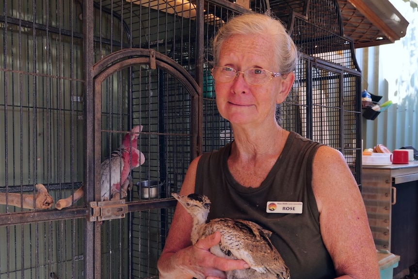 Middle aged woman holding a brown bird stands next to a cage of pink and grey galahs.