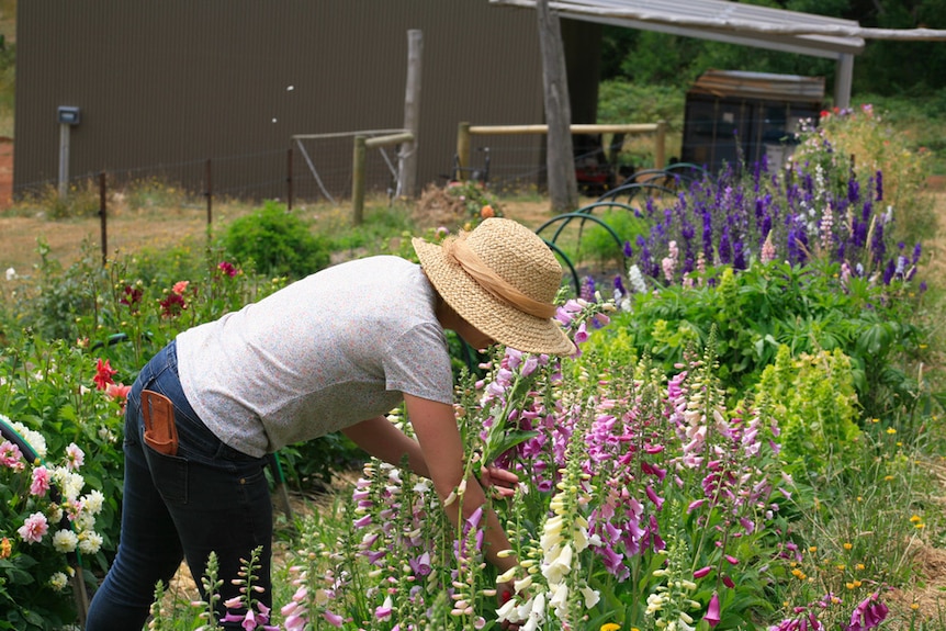 Florist and flower grower Lindsey Brown works in her flower garden