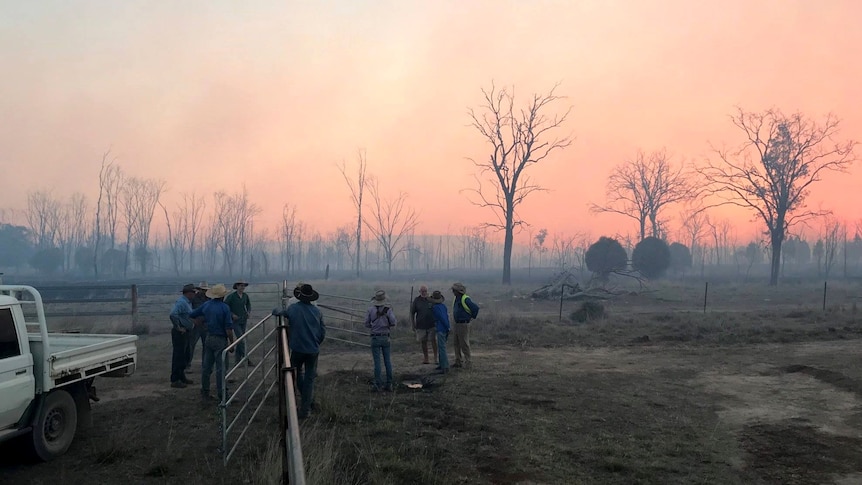 A group of men in work clothes and hats stand around a gate and look at burnt trees in the background.