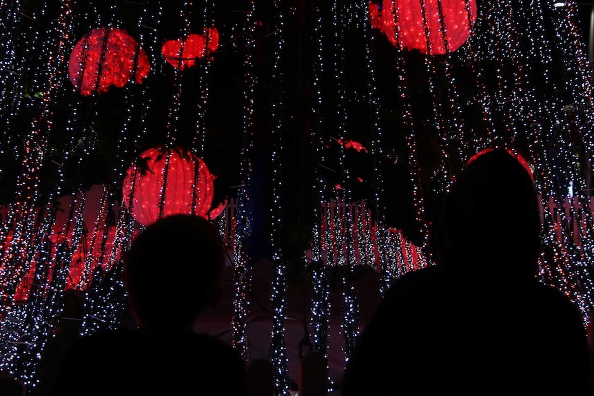 Children watch the flashing lights change colour.