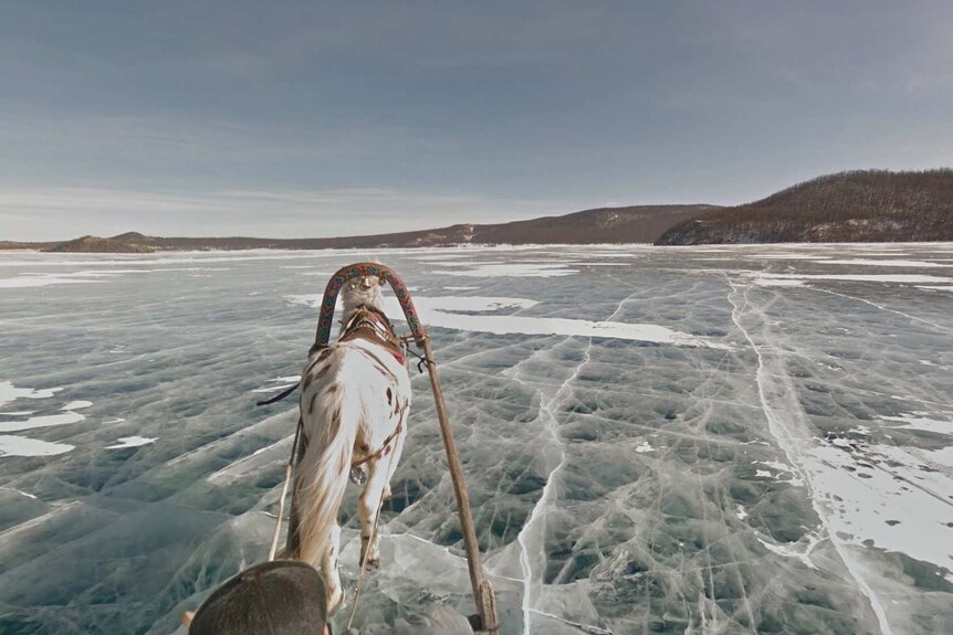 Google captures Mongolia by horseback
