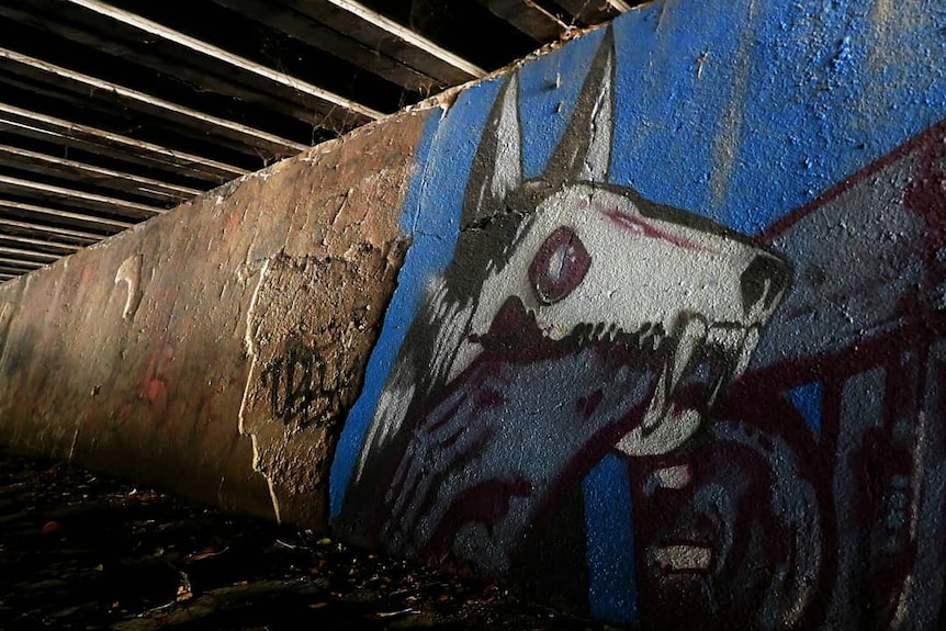 A mural of a dog on a wall in a tunnel