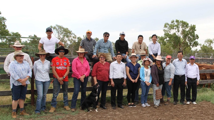 Group of people stand in cattle yards