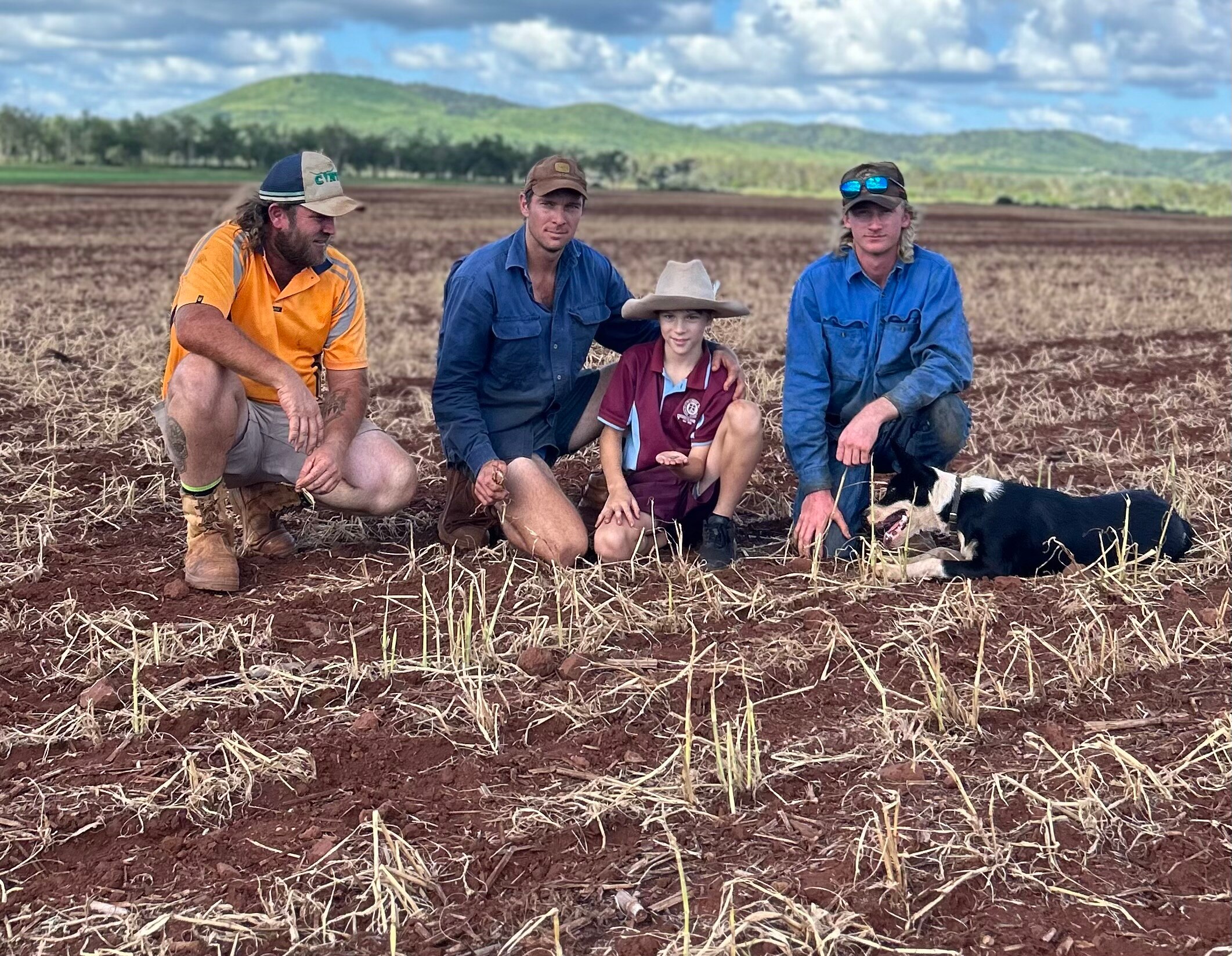 Four male farmers crouching in a paddock with ruined crop