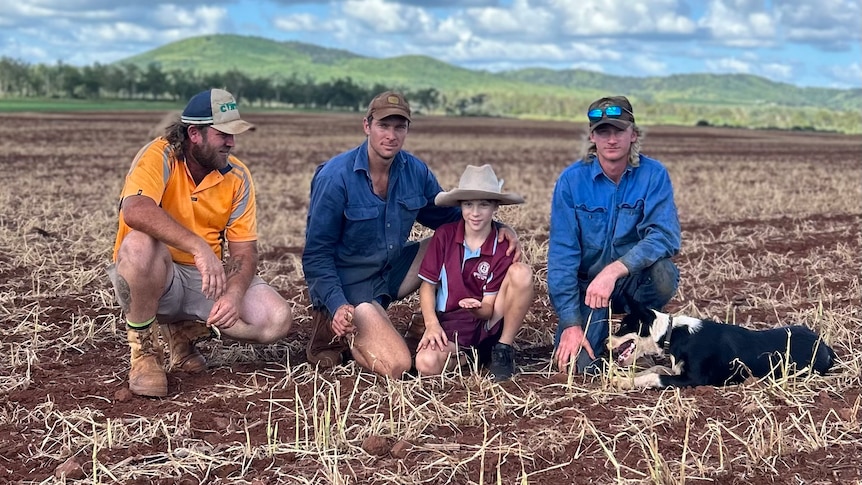 Four male farmers crouching in a paddock with ruined crop