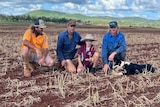 Four male farmers crouching in a paddock with ruined crop