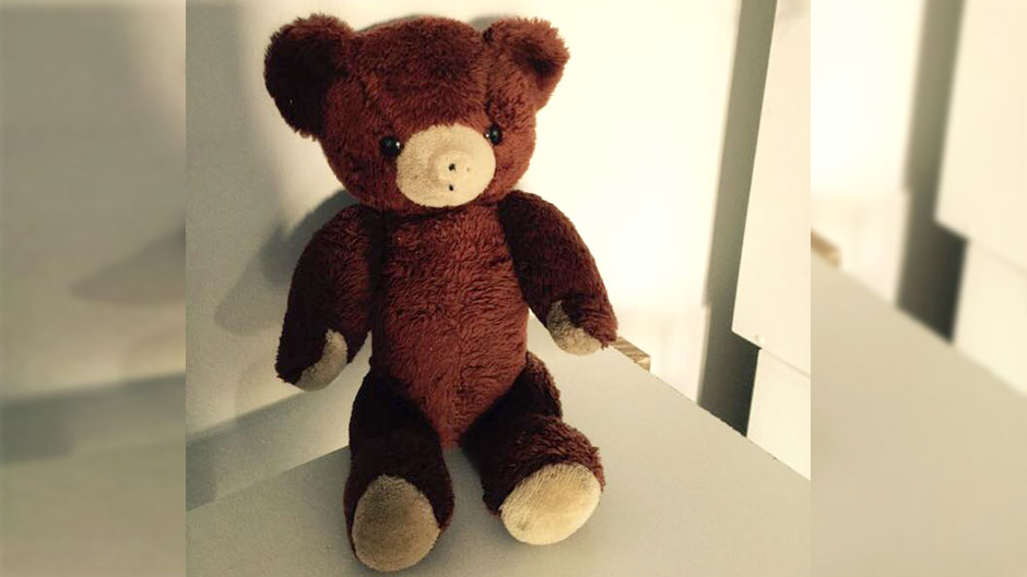 A brown teddy bear