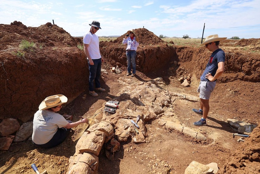 Four people stand looking at plesiosaur fossil in dig site