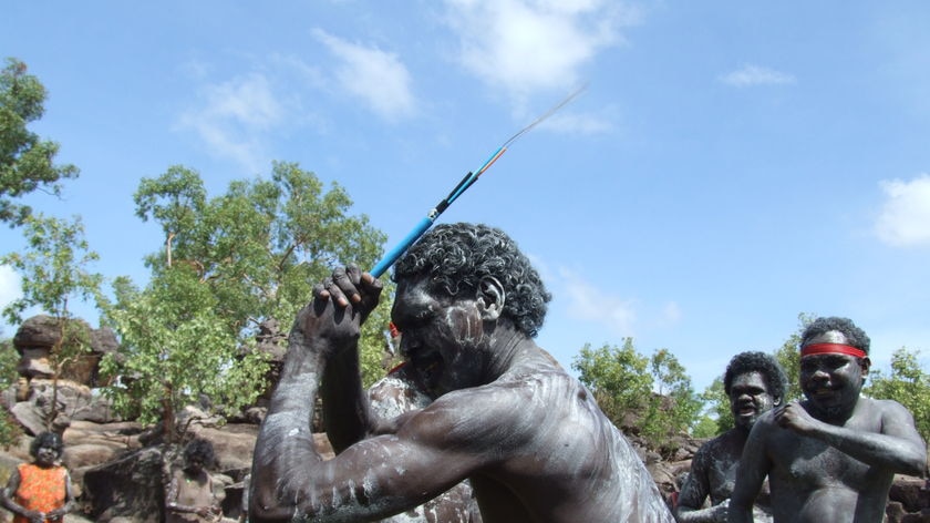 Aboriginal man dancing with fibre optic cable, to celebrate laying of cable in Arnhem Land.