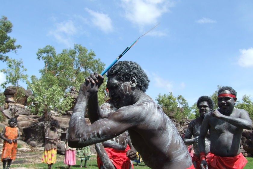 Aboriginal man dancing with fibre optic cable, to celebrate laying of cable in Arnhem Land.