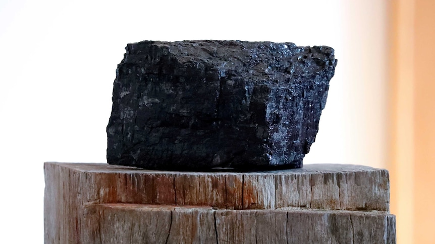 A lump of black coal sits on a wooden stump.