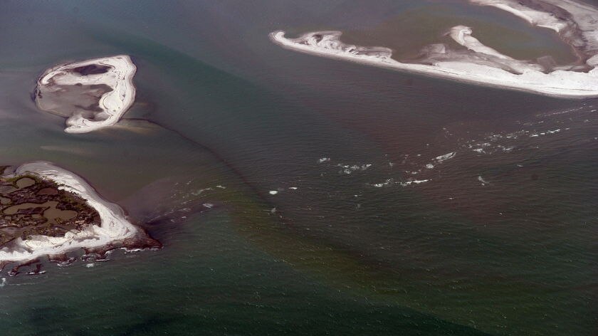 Blame spreads: the oil slick passes through the protective barrier formed by the Chandeleur Islands off Louisiana last year