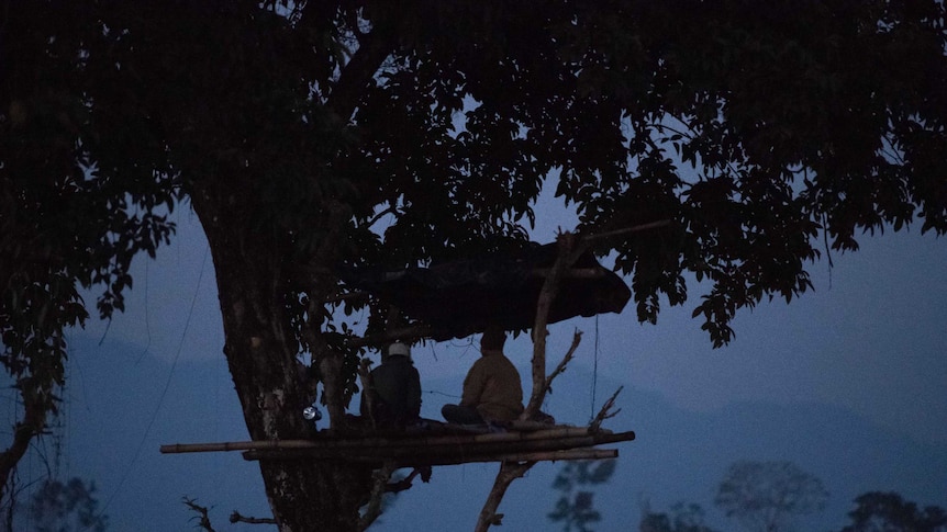 Dwijen Das sits in a treehouse at night watching for elephants.