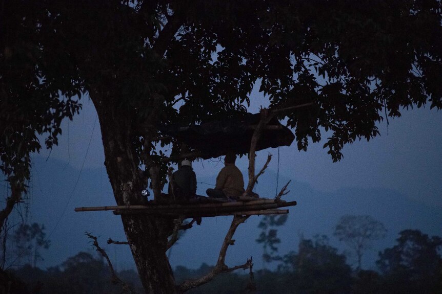 Dwijen Das sits in a treehouse at night watching for elephants.