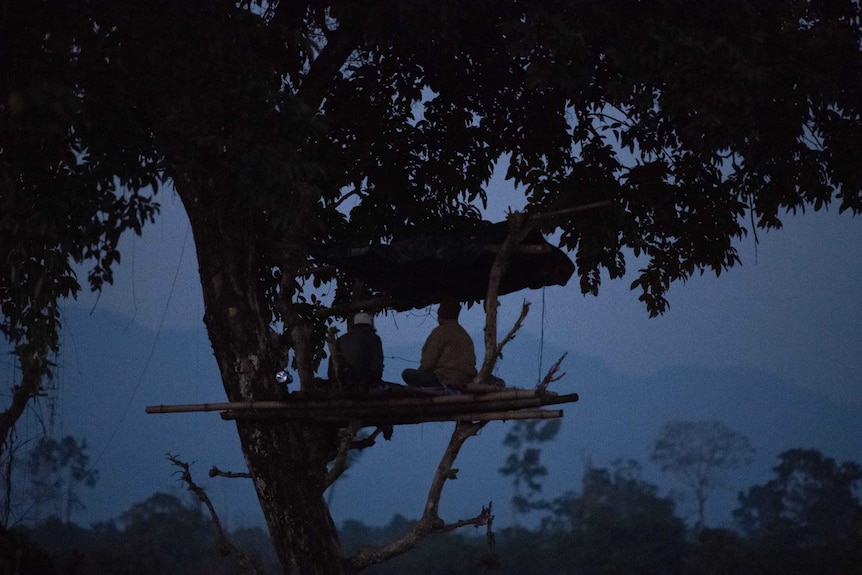 Dwijen Das sits in a treehouse at night watching for elephants.