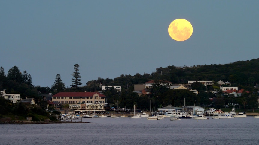The 'supermoon' rises over Watsons Bay.