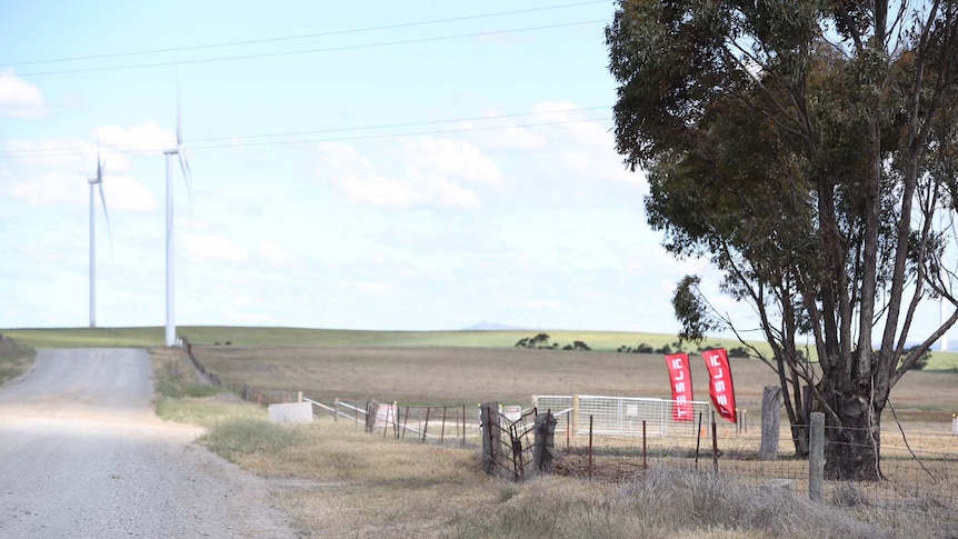 Windfarm turbines on a dirt road, with Tesla flags set up at a road turnoff