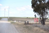 Windfarm turbines on a dirt road, with Tesla flags set up at a road turnoff