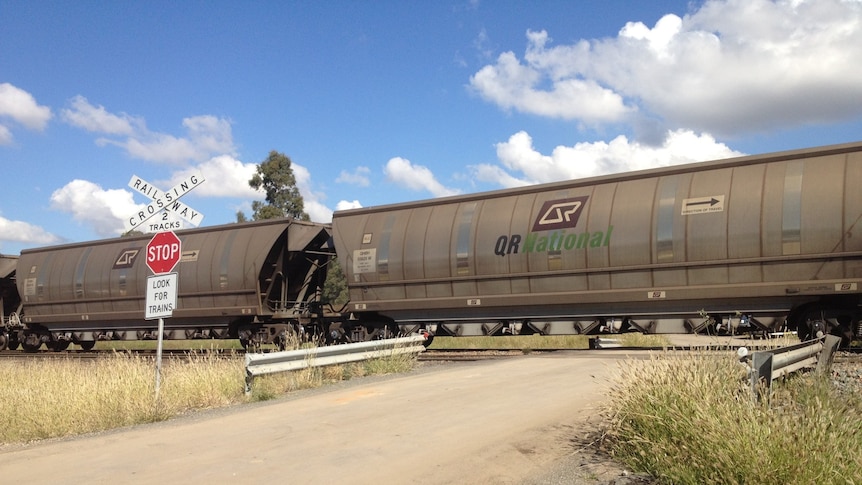An interim report released into the May 4 collision between a utility and a QR National coal train in the Hunter Valley.