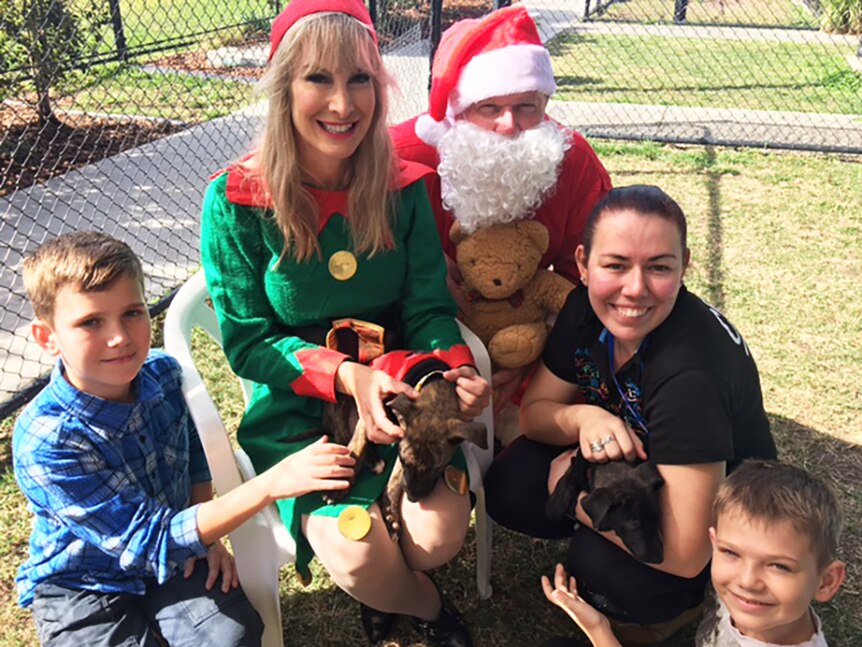 Rhiannon the Elf, Santa and children with a puppy in an animal enclosure