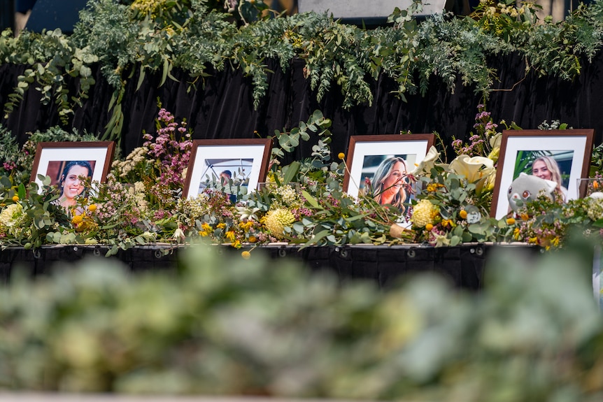 A row of four photographes in frames with flowers around them. 