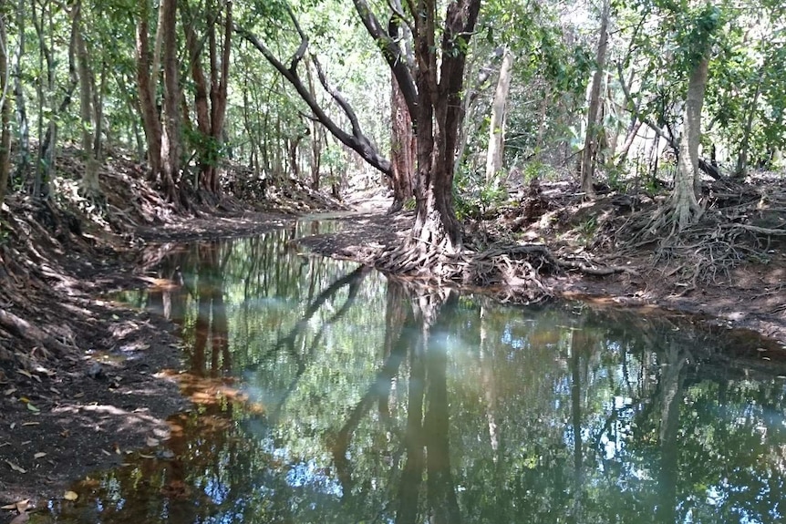 Rapid Creek in Darwin