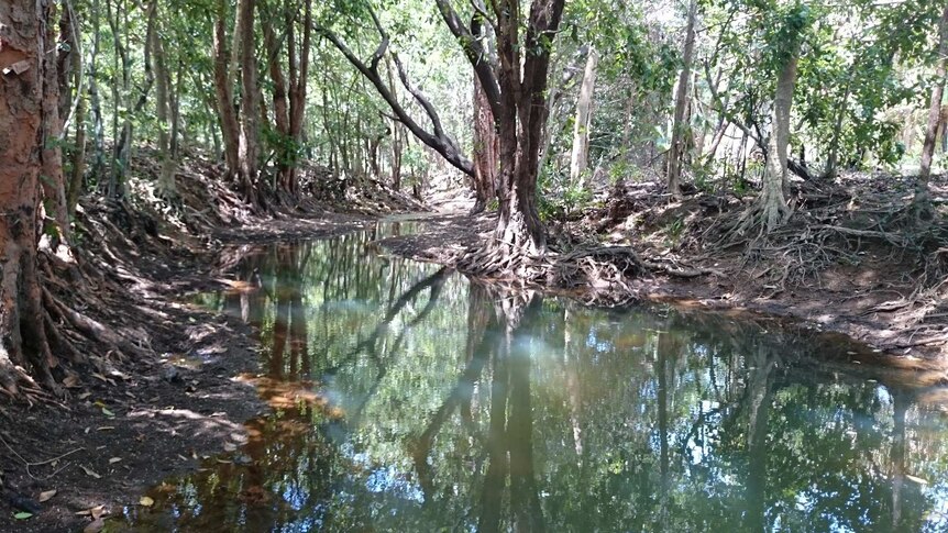 Rapid Creek in Darwin