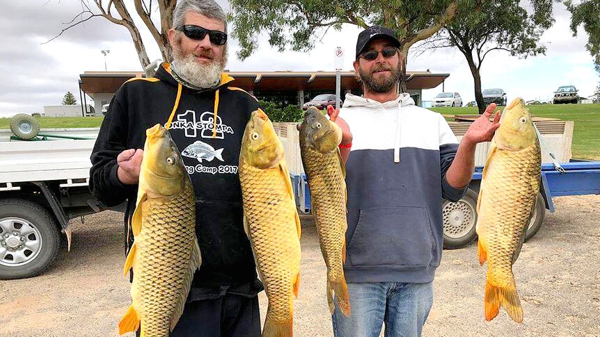 two fishermen holding 4 carp catches