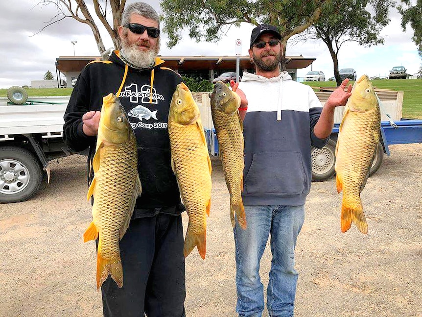 two fishermen holding 4 carp catches