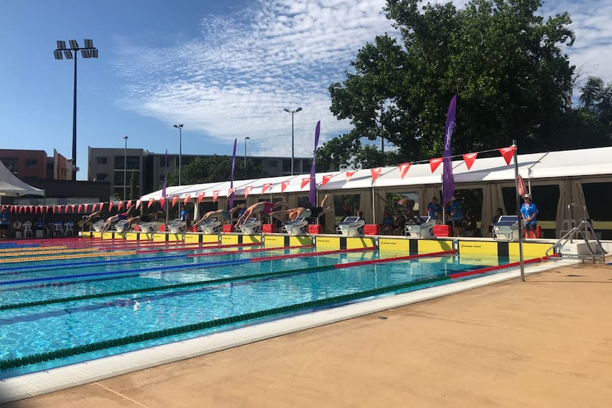 Swimmers dive into a pool.