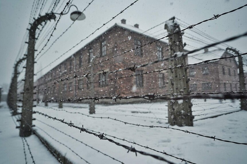 Barbed wire at the Auschwitz-Birkenau Memorial and Museum in Poland.
