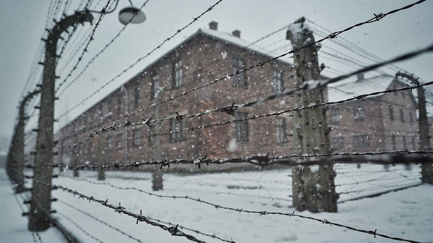 Auschwitz concentration camp.