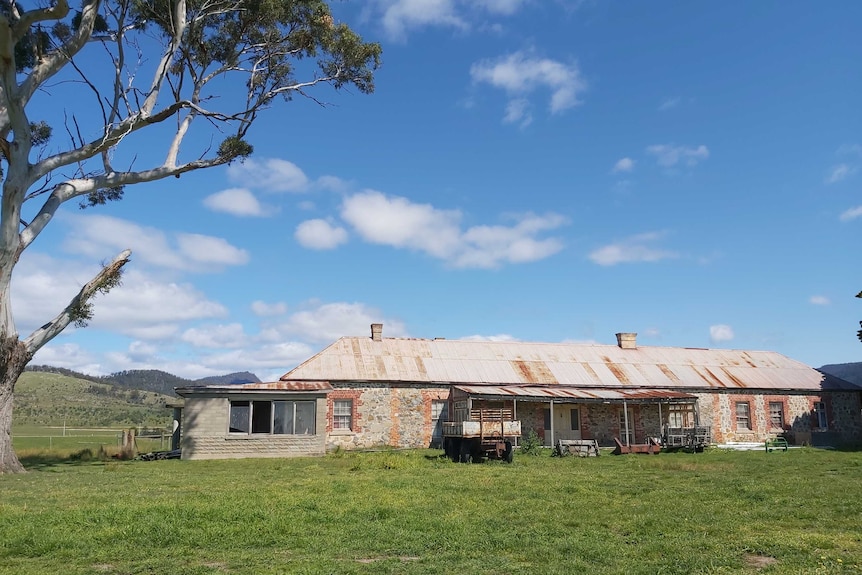 An old, long brick house with an iron roof sits in the middle of a paddock.