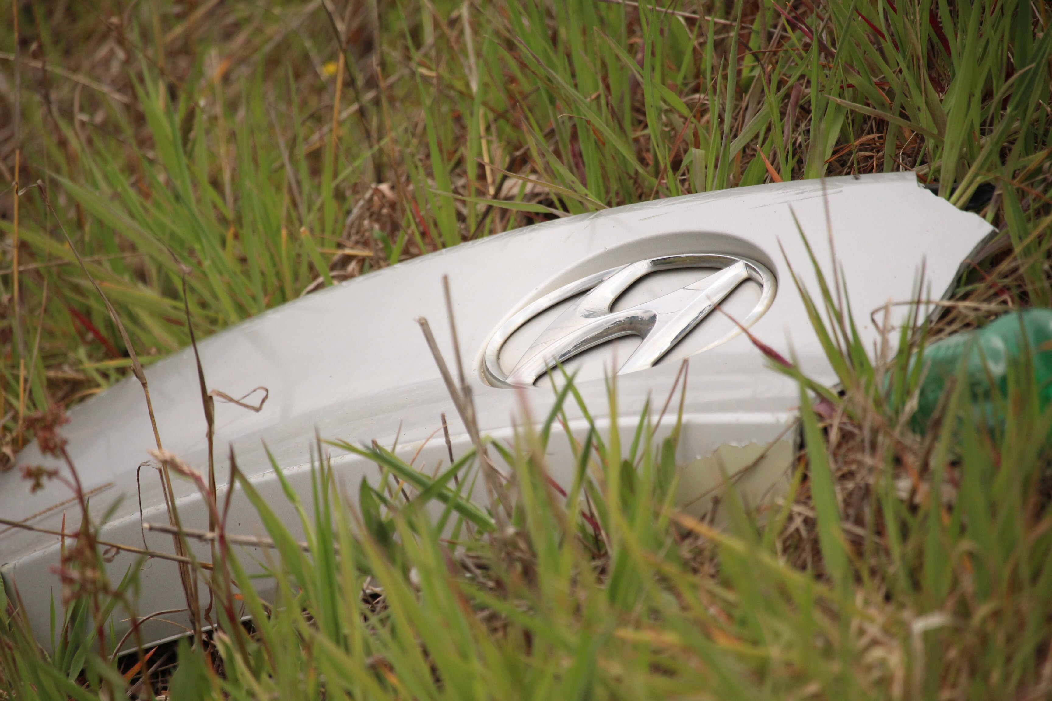 Un trozo roto del capó de un Hyundai tirado en la hierba alta.