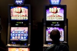 A man plays the pokies at Mounties club in Sydney