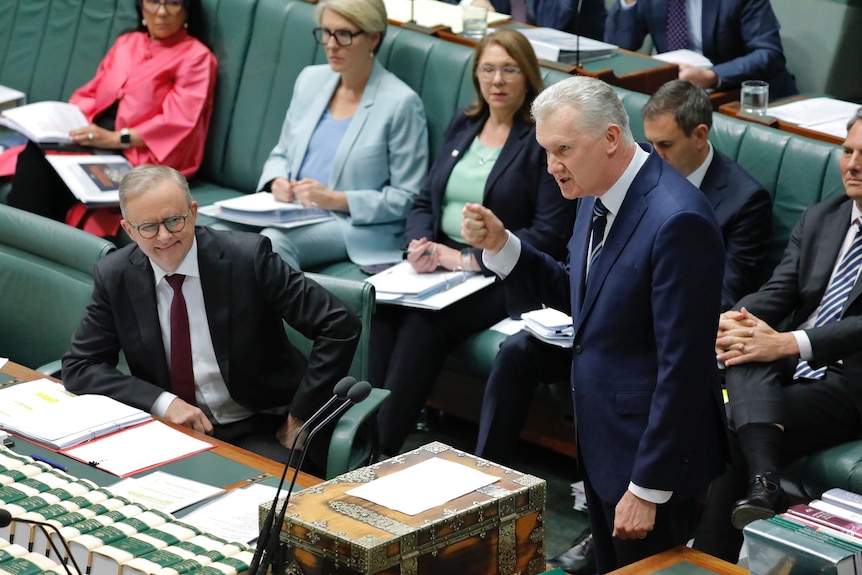 Tony Burke wearing a blue suit stands up in the House of Representatives while Anthony Albanese and front benchers are seated.