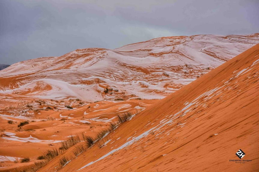 Snow in the Sahara